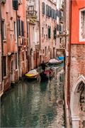 VENICE21 (24)